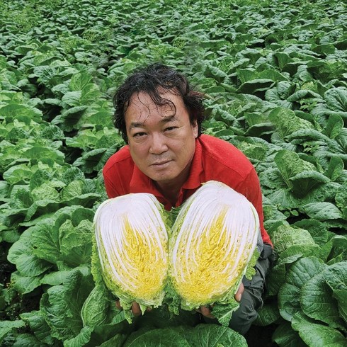 가치 있는 투자 강원도절인배추 이상적인 그 제품!