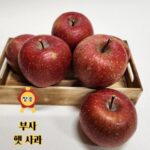 당신이 찾던 그 상품! 청송 주왕산사과 2.7kg2박스(5.4kg 싸다 싸!