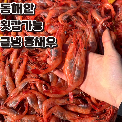 당신이 찾던 그 상품! 까라비네로새우 최고에요!