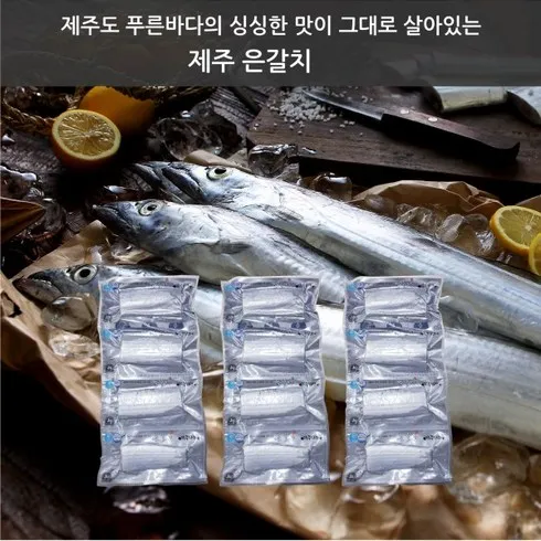 전문가 보증 제주 대왕특대 사이즈 은갈치 550g  3팩 딱이죠!