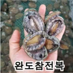 당신이 기다려온 국산활전복 지금 확인하세요!