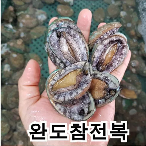 당신이 기다려온 국산활전복 지금 확인하세요!