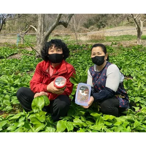 매일이 즐거워지는 울릉도명이김치 강추합니다!