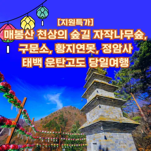 눈에 띄는 스타일 자작나무 다 퍼드립니다!