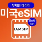 한 번의 클릭 평생의 만족 미국esim 베스트9